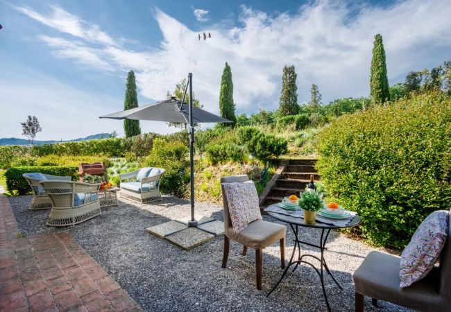 Appartement in Monte San quirico - One Bedroom Farmhouse Apartment with shared Pool in Fattoria Sardi Wine Resort in Lucca Appartement in Monte San quirico - One Bedroom Farmhouse Apartment with shared Pool in Fattoria Sardi Wine Resort in Lucca
