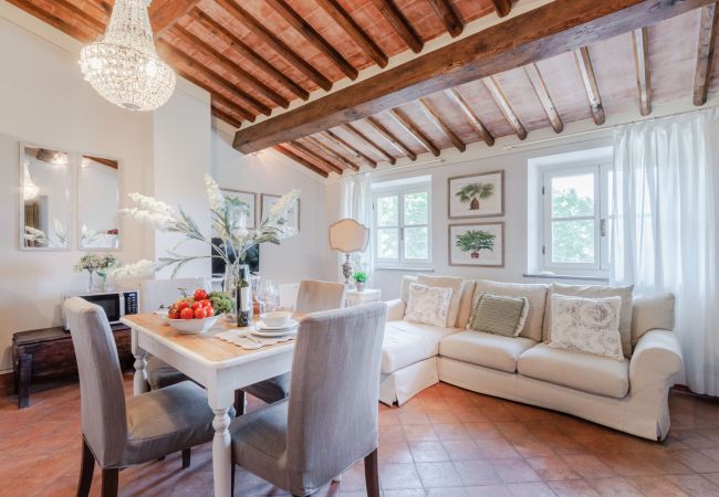 Appartement in Monte San quirico - Anna Farmhouse Apartment in Wine Resort in Lucca Appartement in Monte San quirico - Anna Farmhouse Apartment in Wine Resort in Lucca