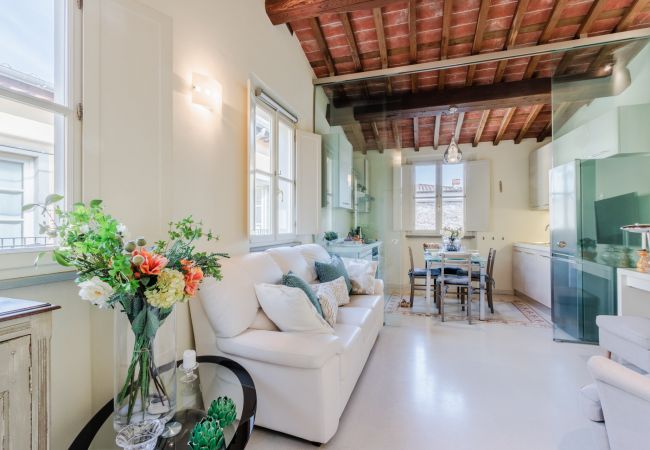 Appartement in Lucca - Smart Flat with Elevator inside Lucca Appartement in Lucca - Smart Flat with Elevator inside Lucca