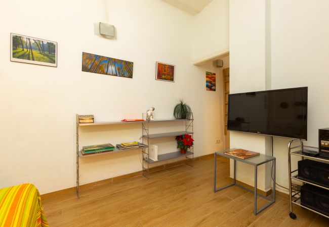 Studio in Barcelona - Estudio en el centro de Barcelona Studio in Barcelona - Estudio en el centro de Barcelona