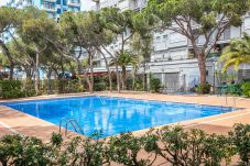 Villa in Blanes - Blanes