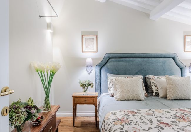 Appartement in Lucca - 3 bedrooms Apartment by the Lucca Cathedral Appartement in Lucca - 3 bedrooms Apartment by the Lucca Cathedral