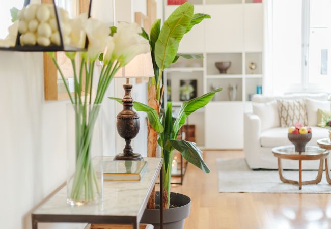 Appartement in Lucca - A Fresh Modern Penthouse inside the Walls of Lucca Appartement in Lucca - A Fresh Modern Penthouse inside the Walls of Lucca