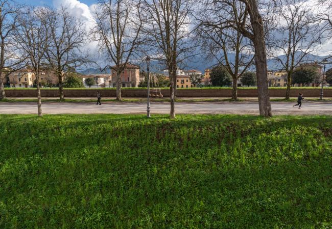 Appartement in Lucca - Casa Daria, Modern 4 Bedrooms Apartment inside the Walls of Lucca  Appartement in Lucca - Casa Daria, Modern 4 Bedrooms Apartment inside the Walls of Lucca