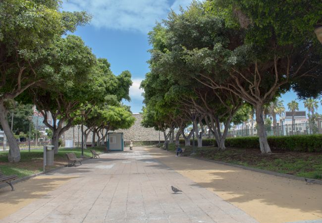 Huis in Las Palmas de Gran Canaria - Rejon Hideaway B By CanariasGetaway Huis in Las Palmas de Gran Canaria - Rejon Hideaway B By CanariasGetaway