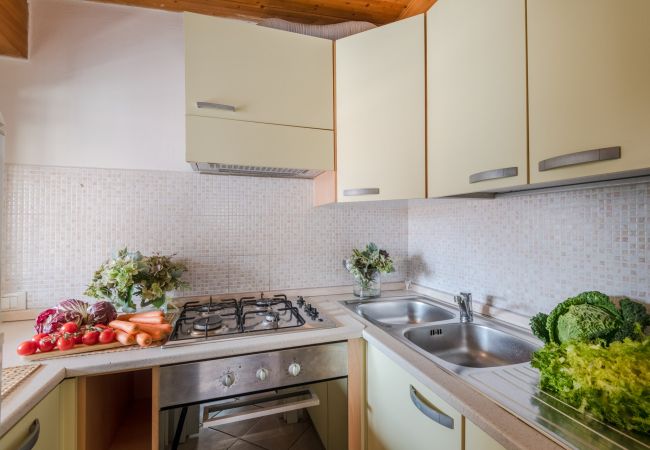 Appartement in Viareggio - Simple Duplex Apartment with Terrace in Viareggio Appartement in Viareggio - Simple Duplex Apartment with Terrace in Viareggio