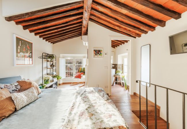 Appartement in Lucca - Historic and Contemporary 3 Bedrooms inside Lucca Appartement in Lucca - Historic and Contemporary 3 Bedrooms inside Lucca