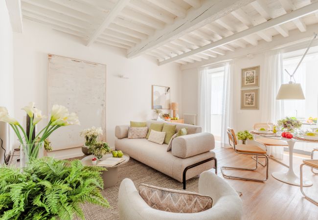 Appartement in Lucca - Smart Apartment with Terrace and elevator in Lucca Appartement in Lucca - Smart Apartment with Terrace and elevator in Lucca