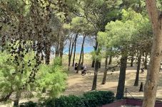 Appartement in Estartit - LA PINEDA 12