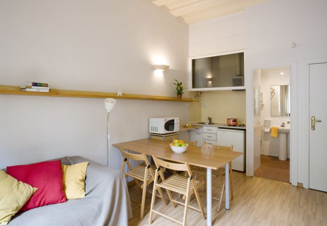 Apartamento en Barcelona - GOTHIC - Balcony & shared terrace apartment Apartamento en Barcelona - GOTHIC - Balcony & shared terrace apartment