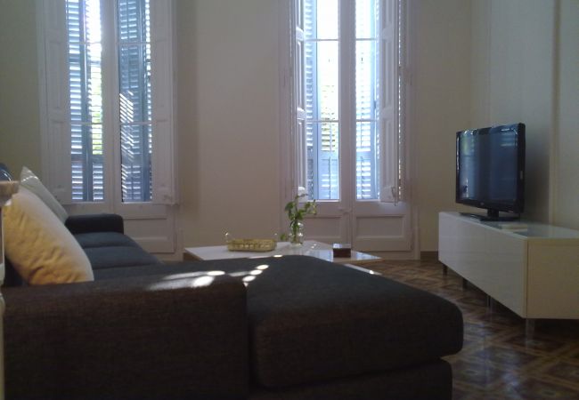 Apartamento en Barcelona ciudad - EIXAMPLE PASSEIG DE GRACIA apartment