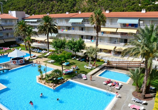 Apartamento en Estartit - ILLA MAR D'OR 125 Apartamento en Estartit - ILLA MAR D'OR 125