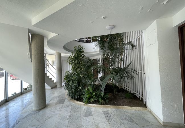 Apartamento en Estartit - MEDES PLATJA 5-3 Apartamento en Estartit - MEDES PLATJA 5-3