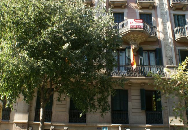 Apartamento en Barcelona - New! Paseo de Gracia, best location-0-Dormitorios Apartamento en Barcelona - New! Paseo de Gracia, best location-0-Dormitorios