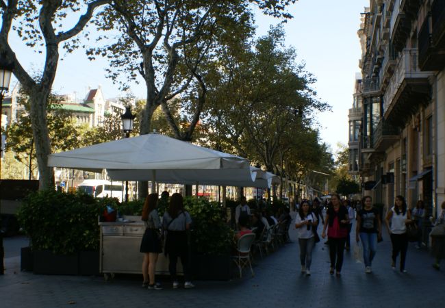 Apartamento en Barcelona - New! Paseo de Gracia, best location-0-Dormitorios Apartamento en Barcelona - New! Paseo de Gracia, best location-0-Dormitorios