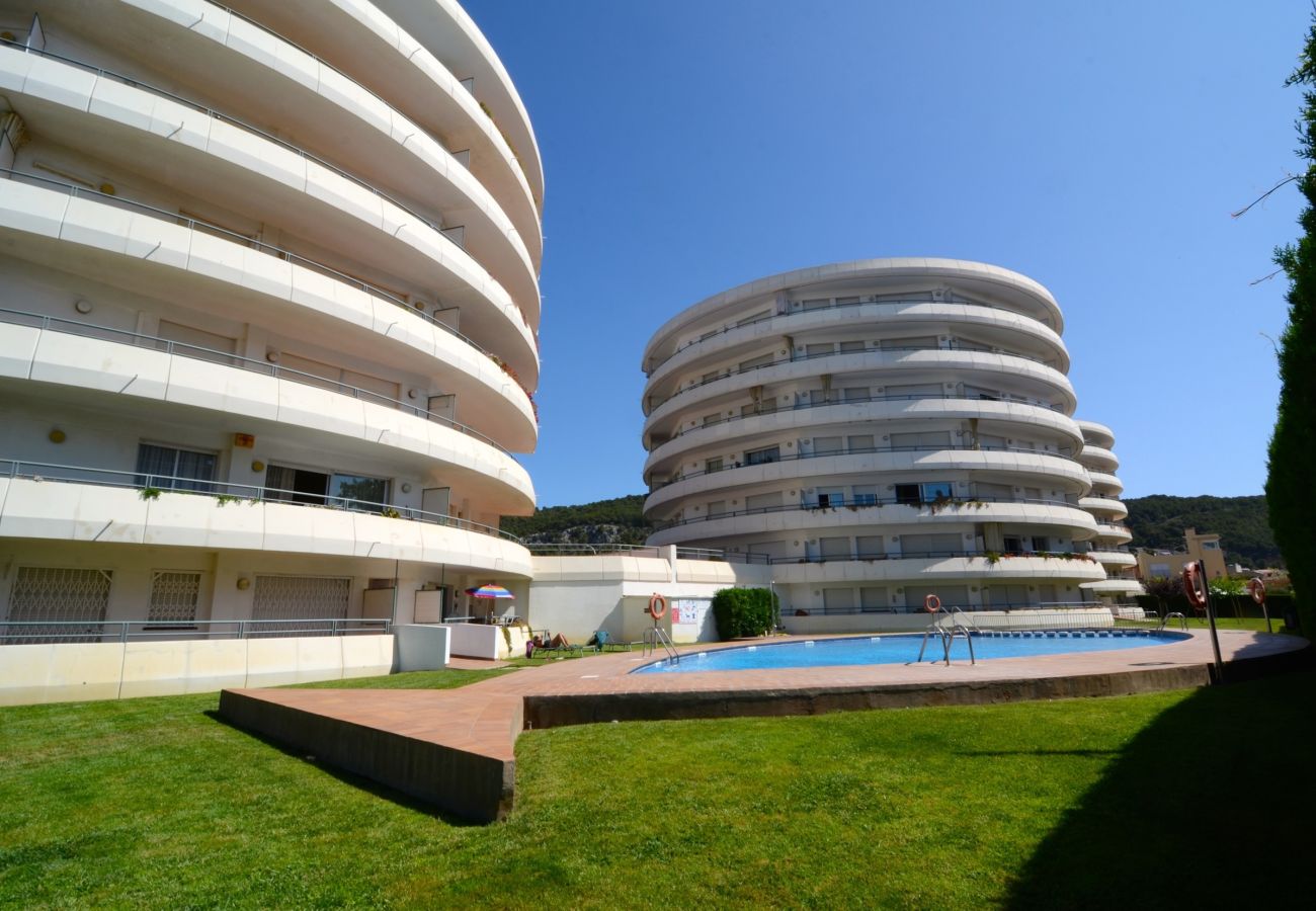 Estudio en Estartit - MEDES PARK I 5-1 Estudio en Estartit - MEDES PARK I 5-1