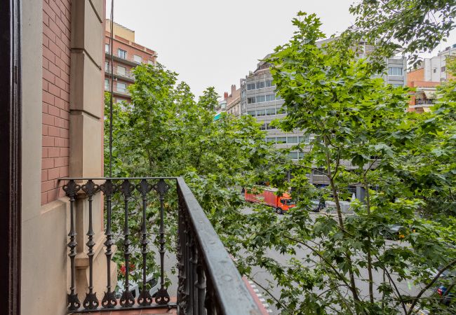 Apartamento en Barcelona - CASANOVA ELEGANCE, piso excelente, amplio, luminoso y tranquilo. Barcelona centro Apartamento en Barcelona - CASANOVA ELEGANCE, piso excelente, amplio, luminoso y tranquilo. Barcelona centro