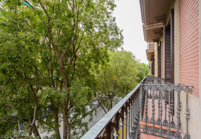 Apartamento en Barcelona - CASANOVA ELEGANCE, piso excelente, amplio, luminoso y tranquilo. Barcelona centro Apartamento en Barcelona - CASANOVA ELEGANCE, piso excelente, amplio, luminoso y tranquilo. Barcelona centro