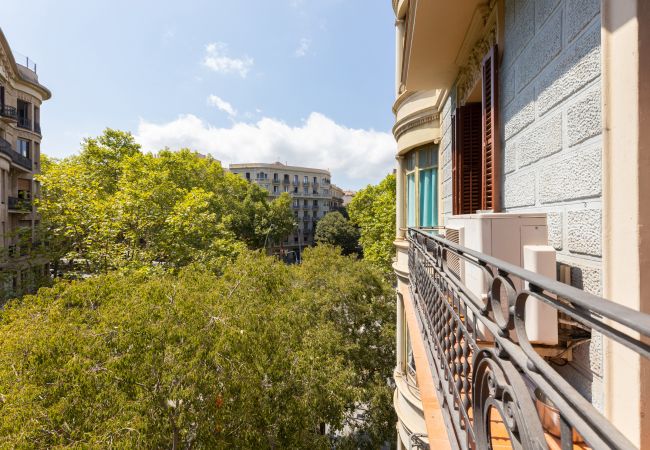 Apartamento en Barcelona - CALABRIA, piso amplio ideal familias o grupos en Eixample, Barcelona centro Apartamento en Barcelona - CALABRIA, piso amplio ideal familias o grupos en Eixample, Barcelona centro