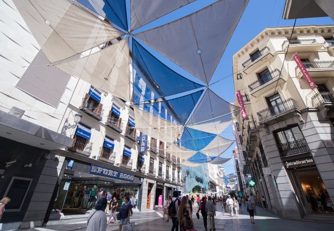 Apartamento en Madrid - Apartment Madrid Downtown Puerta del Sol M (PRE3A) Apartamento en Madrid - Apartment Madrid Downtown Puerta del Sol M (PRE3A)