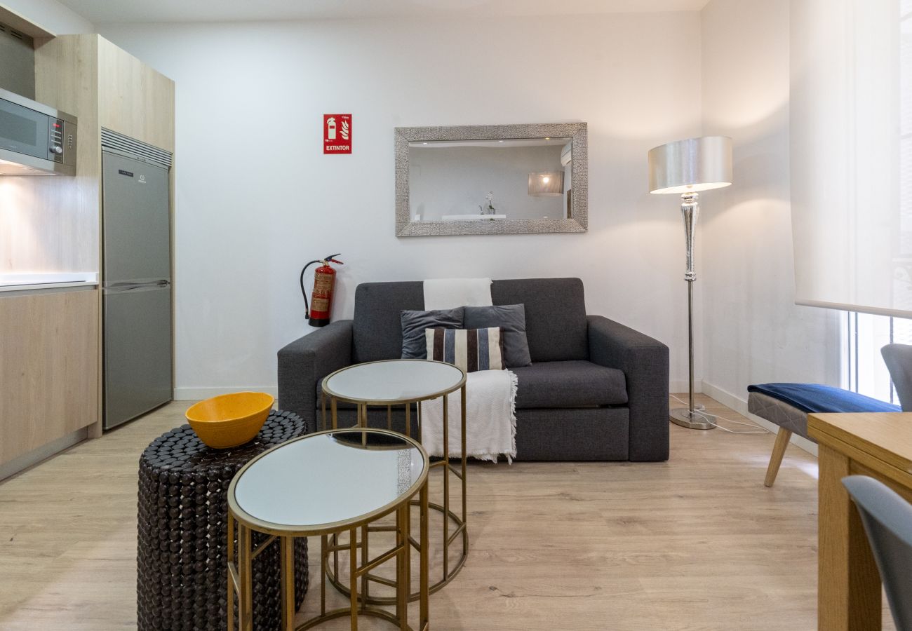 Apartamento en Madrid - Modern Madrid Downtown Puerta Del Sol M (PRE3B) Apartamento en Madrid - Modern Madrid Downtown Puerta Del Sol M (PRE3B)