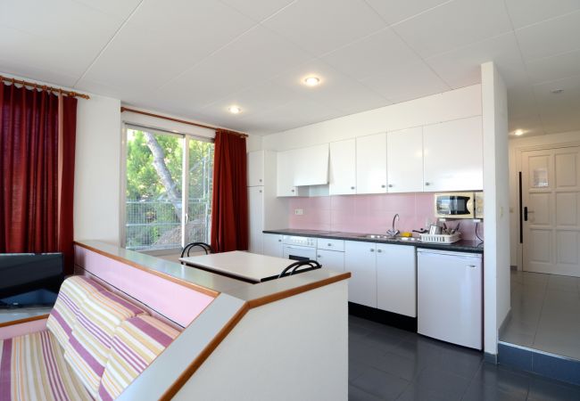 Estudio en Estartit - NAUTIC ESTUDI BX-4 Estudio en Estartit - NAUTIC ESTUDI BX-4