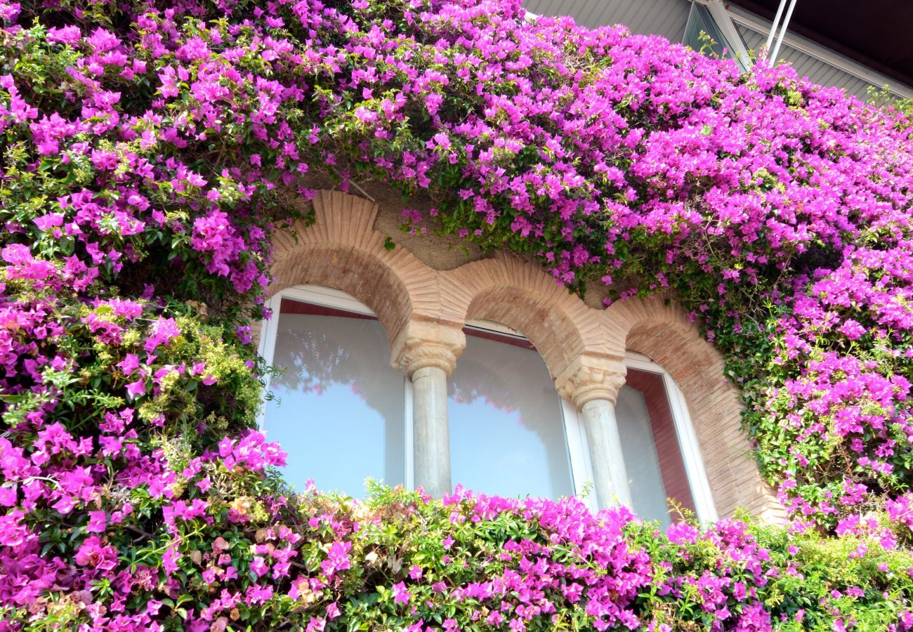 Apartamento en Estartit - NAUTIC 2D 3-4 Apartamento en Estartit - NAUTIC 2D 3-4