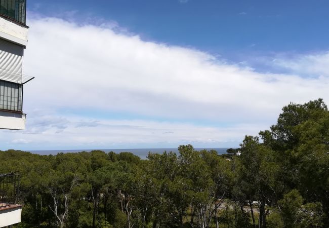 Apartamento en Pals - BOSMAR BOSC 5-A Apartamento en Pals - BOSMAR BOSC 5-A