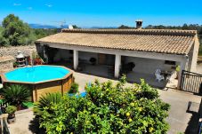 Piscina, jardín, espacio libre, sol, Mallorca