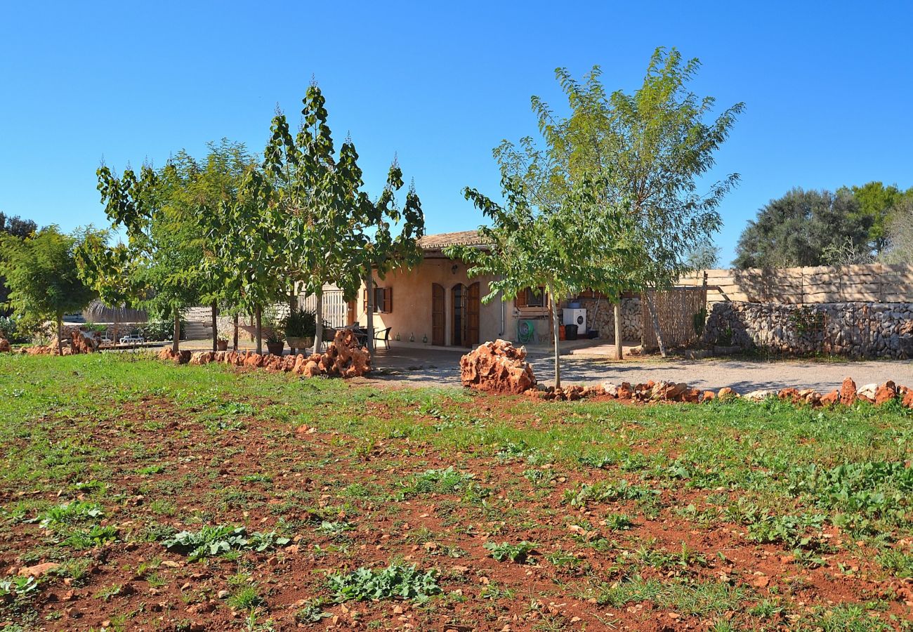 Finca en Muro - Sa Casita 225 acogedora finca en la naturaleza, con piscina privada, jardín, barbacoa y WiFi Finca en Muro - Sa Casita 225 acogedora finca en la naturaleza, con piscina privada, jardín, barbacoa y WiFi