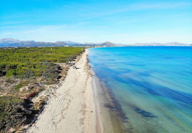 Finca en Llucmajor - Son Antem 420 fantástica finca con piscina privada, terraza, barbacoa y aire acondicionado Finca en Llucmajor - Son Antem 420 fantástica finca con piscina privada, terraza, barbacoa y aire acondicionado