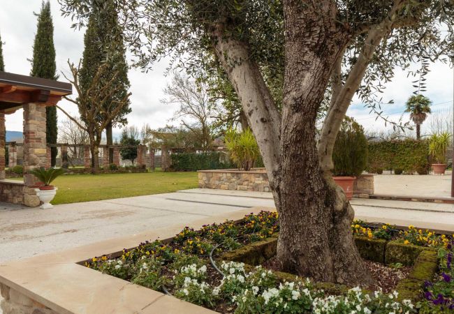 Villa en Lucca - Villa Leonor Villa en Lucca - Villa Leonor