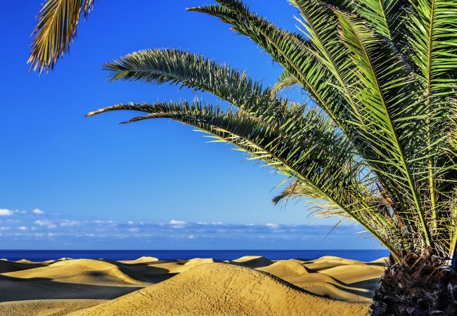 Estudio en Las Palmas de Gran Canaria - Edison Building 304 By CanariasGetaway  Estudio en Las Palmas de Gran Canaria - Edison Building 304 By CanariasGetaway