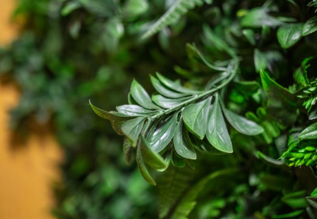 Casa en Las Palmas de Gran Canaria - Bolivar cute home By CanariasGetaway Casa en Las Palmas de Gran Canaria - Bolivar cute home By CanariasGetaway