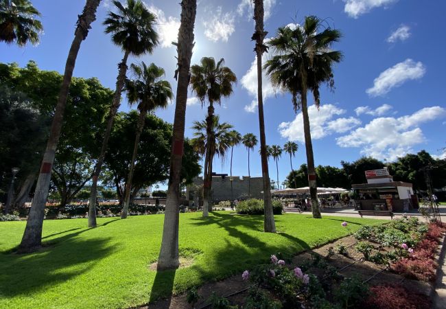 Estudio en Las Palmas de Gran Canaria - Fancy & Stylish studio by Canarias Getaway Estudio en Las Palmas de Gran Canaria - Fancy & Stylish studio by Canarias Getaway