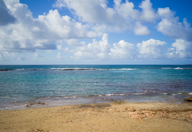 Estudio en Las Palmas de Gran Canaria - OK Las Canteras 5C by CanariasGetaway Estudio en Las Palmas de Gran Canaria - OK Las Canteras 5C by CanariasGetaway