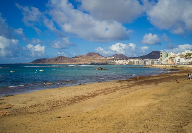 Estudio en Las Palmas de Gran Canaria - OK Las Canteras 5C by CanariasGetaway Estudio en Las Palmas de Gran Canaria - OK Las Canteras 5C by CanariasGetaway