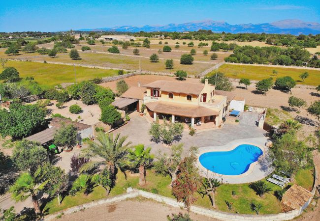 Finca vacacional, Mallorca, piscina, jardín