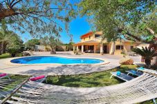 Casa vacacional, piscina, Mallorca, hamacas, vacaciones, tomar el sol