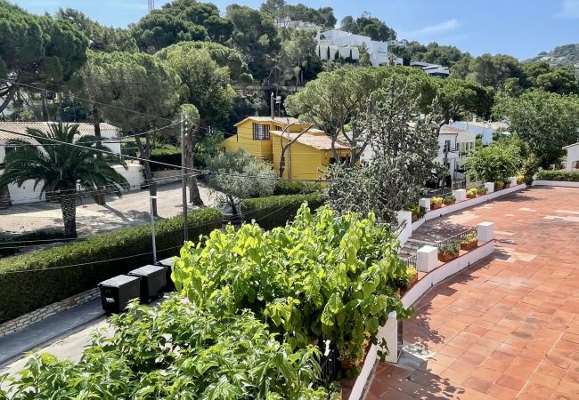 Casa en Pals - PLAÇA DELS POUS 15 Casa en Pals - PLAÇA DELS POUS 15