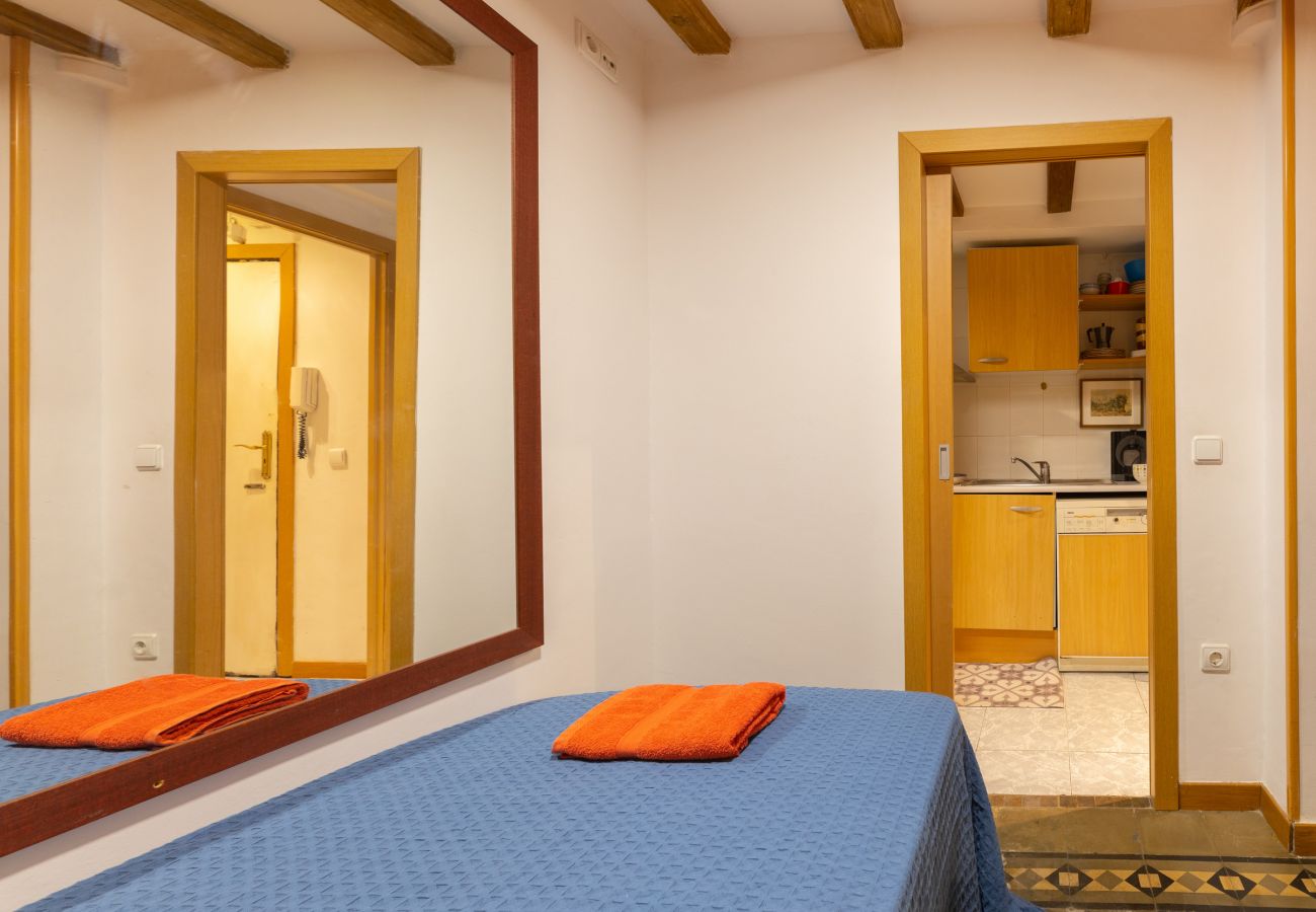 Apartamento en Barcelona - TERRAZA PRIVADA, 4 dormiorios, 2 baños Apartamento en Barcelona - TERRAZA PRIVADA, 4 dormiorios, 2 baños