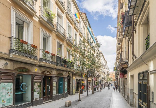 Apartamento en Madrid - Hermoso apartamento  Plaza Zerolo INF2E Apartamento en Madrid - Hermoso apartamento  Plaza Zerolo INF2E