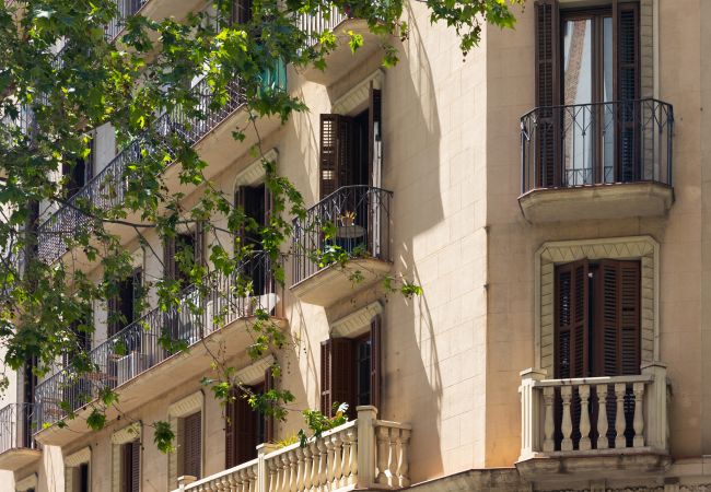 Estudio en Barcelona - Estudio en el centro de Barcelona Estudio en Barcelona - Estudio en el centro de Barcelona