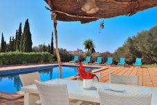 piscina, jardin, casa vacacional, terraza, sol. 