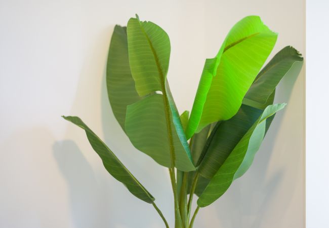 Casa en Las Palmas de Gran Canaria - Castle of light By Canariasgetaway Casa en Las Palmas de Gran Canaria - Castle of light By Canariasgetaway