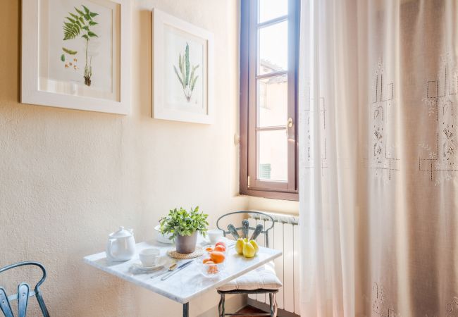 Apartamento en Lucca - Smart apartment with view in a central Lucca location Apartamento en Lucca - Smart apartment with view in a central Lucca location