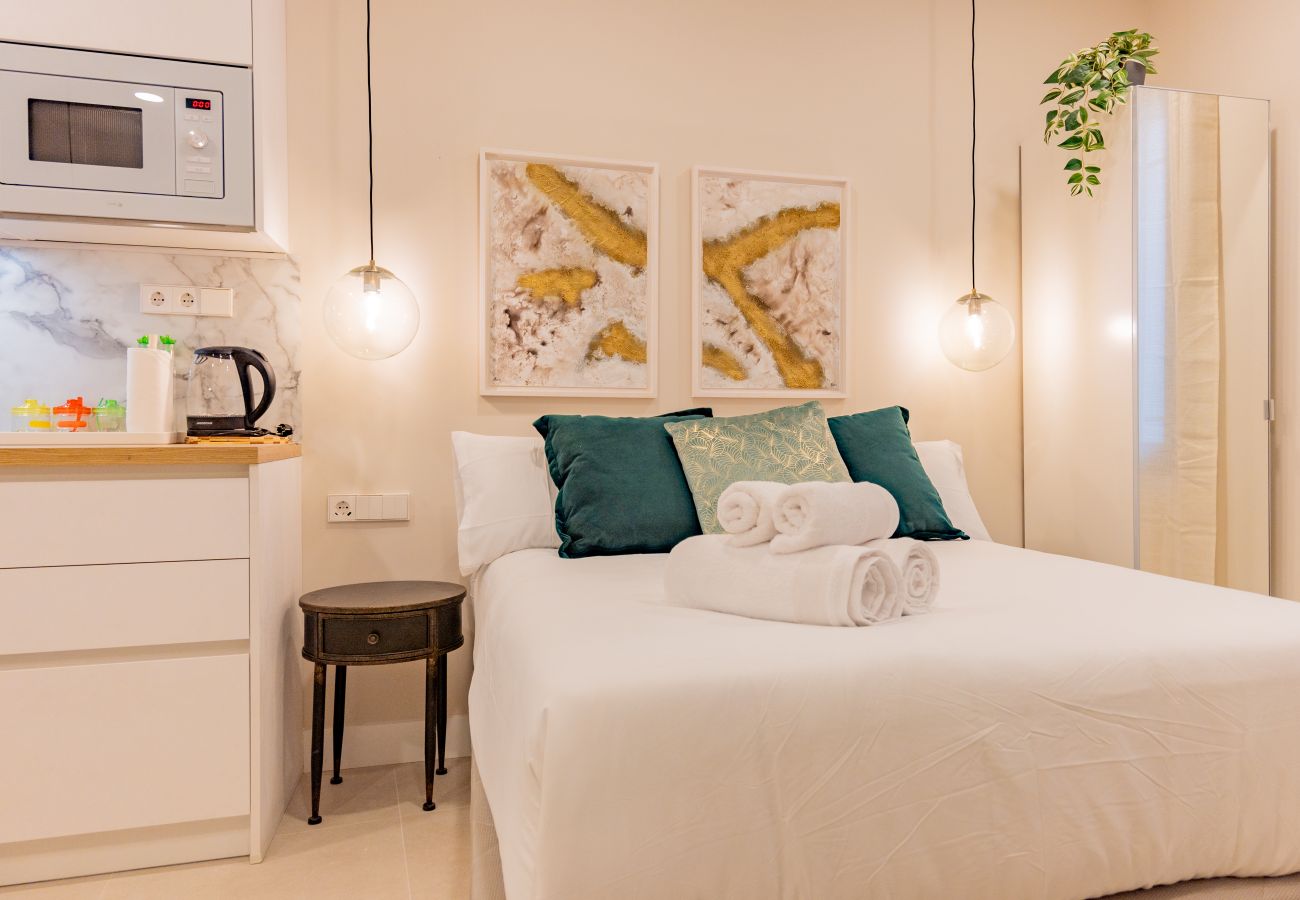 Estudio en Madrid - Liria: Un Espacio de Elegancia y Confort en el Corazón de la Ciudad Estudio en Madrid - Liria: Un Espacio de Elegancia y Confort en el Corazón de la Ciudad