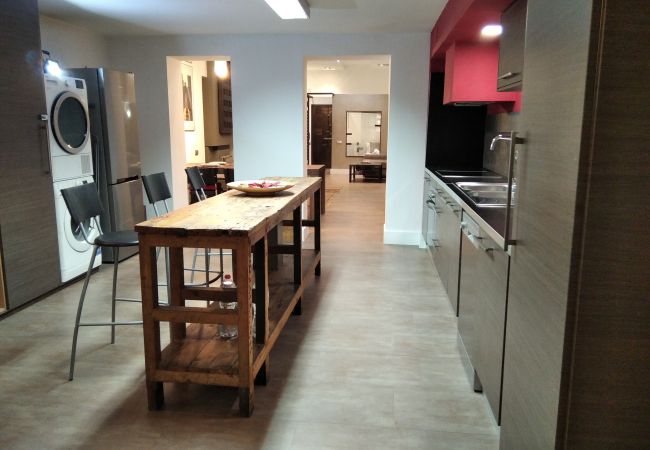 Apartamento en Barcelona - MONUMENT, apartamento grande y acogedor