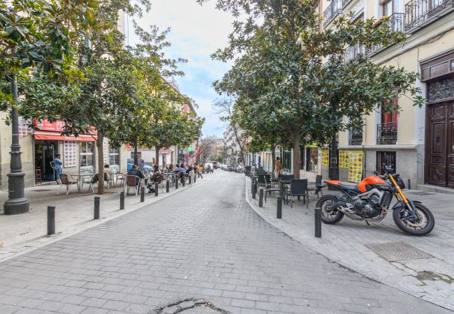 Apartamento en Madrid - Acogedor piso de 1 dormitorio a poco metros del centro de la Ciudad .Temporal Apartamento en Madrid - Acogedor piso de 1 dormitorio a poco metros del centro de la Ciudad .Temporal