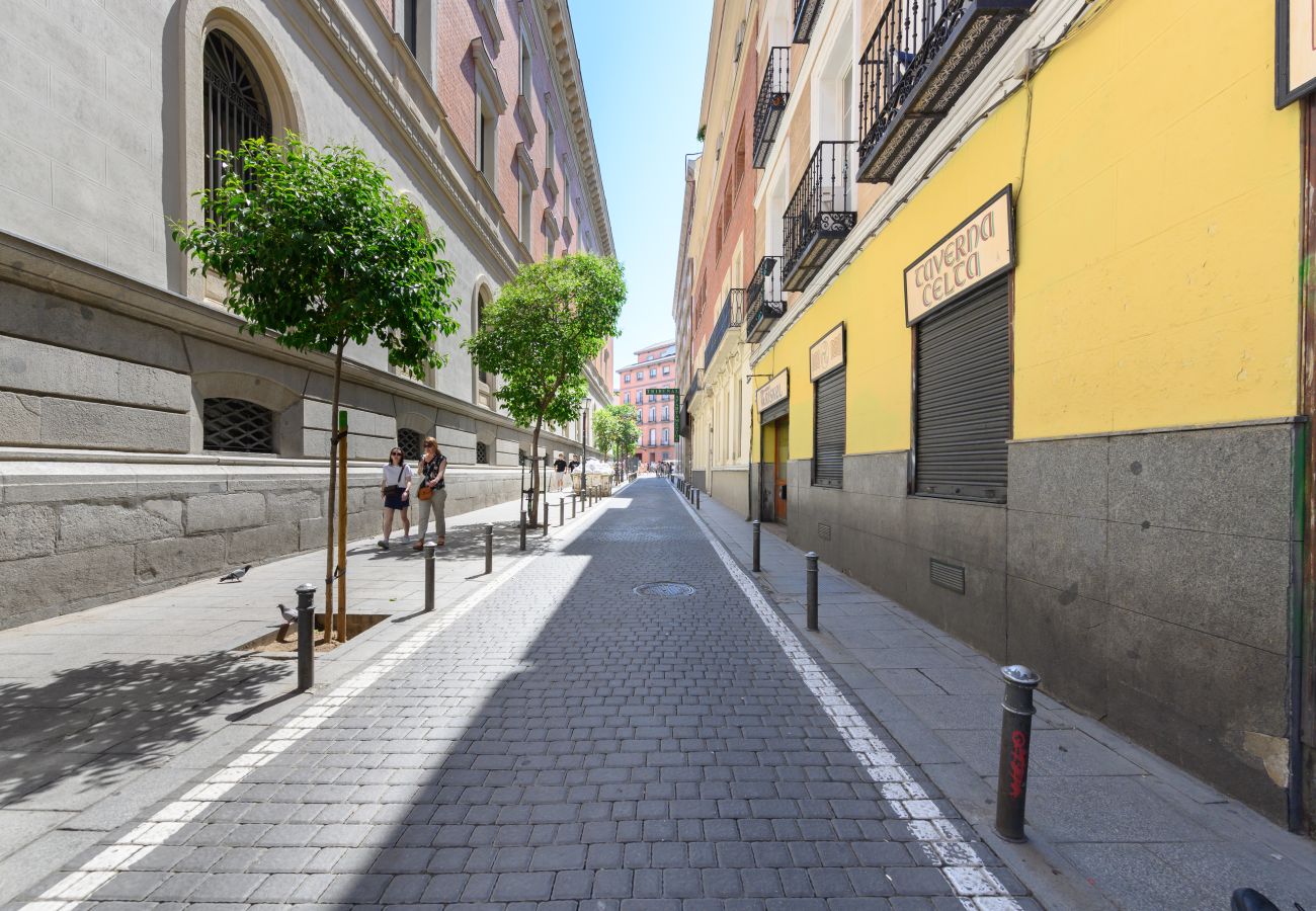 Apartamento en Madrid - Piso tipo loft de 1 dormitorio en el centro de Madrid. Temporal Apartamento en Madrid - Piso tipo loft de 1 dormitorio en el centro de Madrid. Temporal